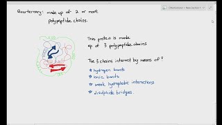 212 Proteins Tertiary amp Quarternary Structure Cambridge AS amp A Level Biology 9700 [upl. by Amerigo440]