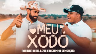 MEU XODÓ  Rafinha o Big Love e Biguinho Sensação CLIPE OFICIAL [upl. by Charley170]