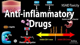 Antiinflammatory NSAIDs Drugs Pharmacology Animation [upl. by Anedal]