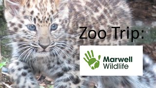 Marwell Zoo Trip September 2016 [upl. by Tirrej]