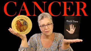 Someone is EXTREMELY UPSET With You CANCER November 2024 Tarot Reading [upl. by Kcira]