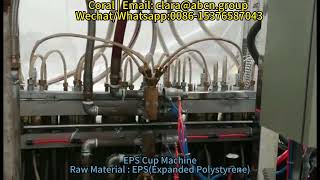 eps foam cup making machine plastic cup thermoforming machine [upl. by Samala381]