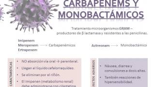 todo sobre antibioticos [upl. by Gunter639]