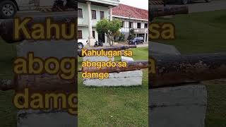 Kahulugan sa abogado sa damgo abogado hubadsaabogadosadamgo kahulugansaabogadosadamgo [upl. by Verna]