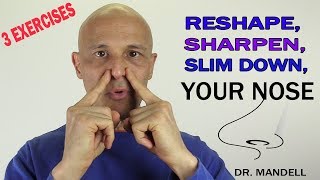 3 EXERCISES TO RESHAPE SHARPEN amp SLIM DOWN YOUR NOSE  Dr Alan Mandell DC [upl. by Meehyr]