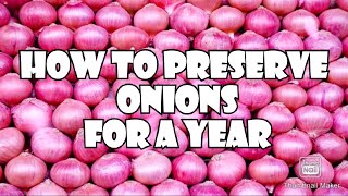 How to preserve onions for long time  How to store onions for a year  Best way to store onions [upl. by Ekusoyr]