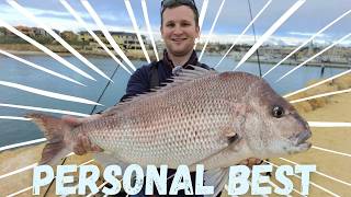 Rock Wall Snapper Fishing Perth Triumph and Defeat [upl. by Joane]