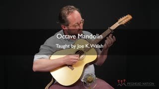 Octave Mandolin with Joe K Walsh  “Josefin’s Waltz” [upl. by Aerahs528]