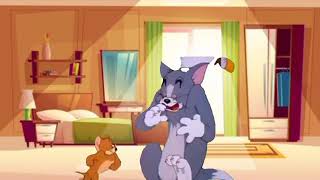 Tom And Jerry Cartoons Tom and Jerry tails Tom and Jerry adventures Tom and Jerry Funny 360p [upl. by Alvie]