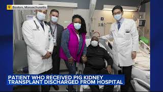 Man who received genetically modified pig kidney is out of the hospital [upl. by Vaules]