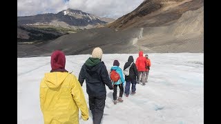 Athabasca Glacier Icewalks  On the Colombia Icefield [upl. by Pammy805]