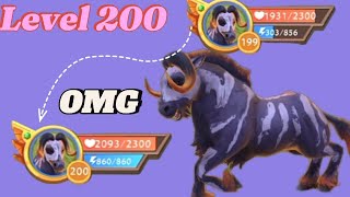 Wildcraft got level 200 horse 🐎 [upl. by Nyrem]