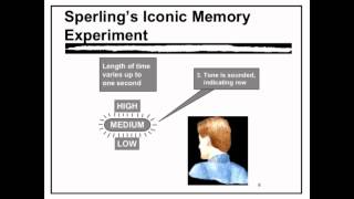 Sensory Memory  VCE Unit 3 Psychology [upl. by Nayve934]