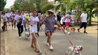 Familias y sus mascotas marcharon por calles tarapotinas para exigir quotNo al maltrato animalquot [upl. by Jamey606]