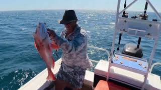 Doing it Solo Fishing that is  Reef Fish Trippin  Ep 1 [upl. by Renie]