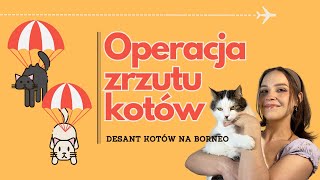 Spadochronowa akcja zrzutu kotów [upl. by Kelcy]