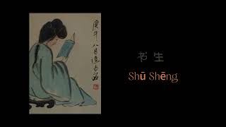 【田超扬琴】Shu Sheng  Chao Tian w Shasha Chen and Eli Wallace [upl. by Nagek]