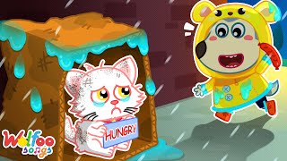 Dont be Sad Super Kitty  Emotional Pets Songs  Kids Songs amp Nursery Rhymes WolfooFamilySongs [upl. by Asilegna]