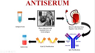 Antiserum An Emergency Tool for Saving Lives [upl. by Kendall]