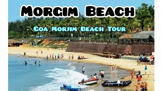 Morjim Beach Goa  Best Beach In Goa  Morjim Beach Tour [upl. by Lachman843]