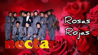 Grupo Néctar  Rosas Rojas audio arreglado [upl. by Imorej239]