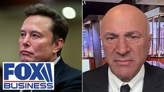 This is the power Elon Musk has O’Leary loves ‘very contentious’ plan to cut spending [upl. by Powder401]