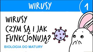 Wirusy 1  Czym są i jak działają budowa i funkcjonowanie wirusów  biologia do matury [upl. by Crowns820]