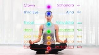 7 Chakras Seed Mantras Cyclic Chanting Meditation  Root Chakra to Crown Chakra to Root Chakra [upl. by Kus]