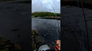 Fly Fishing for Sea Trout in tidal current in Finnmark  Northern Norway [upl. by Analra295]