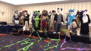 Fur Squared 2015 Fursuit Games Part 1 [upl. by Schnorr]