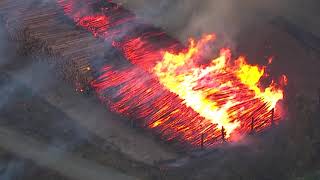 Raw video Fire breaks out at lumber mill in Molalla Oregon [upl. by Novyart946]