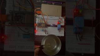 Esp32 smart irrigation using Blynk cloud [upl. by Areik]