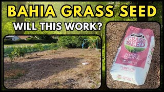 Trying To Fix My Lawn With Bahia Grass Seed [upl. by Holofernes403]