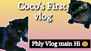 Cocos First vlog 😍🌸 [upl. by Fachan]