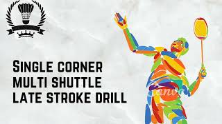 late stroke badminton drills Watch till the end youtube badminton coaching youtubevideo [upl. by Enneiviv]