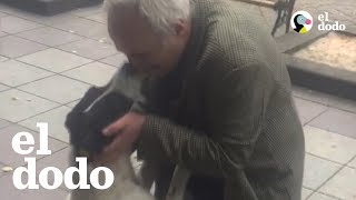 Un reencuentro tres años después de que este perro se había perdido [upl. by Aileve821]