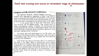 Creighton amp McClintoks Experiment in maize Genetics Crossing Over Botany biology [upl. by Almallah]