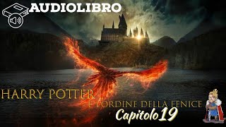 Audiolibro  Harry Potter e lordine della fenice  Lettura e Commento Cap 19 [upl. by Iadrahs]