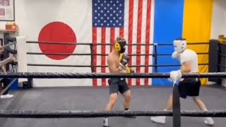 Naoya Inoue Sparring at Wild Card against Adam Lopez  アダム・ロペスとワイルドカードでスパーリングする井上直哉 [upl. by Nanda]