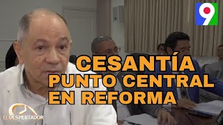 Cesantía se ubica como punto central en reforma laboral El Despertador [upl. by Korff]