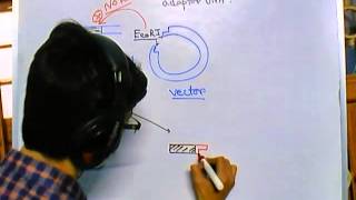 Difference between linker and adaptor DNA [upl. by Ahsinotna387]