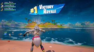 Fortnite  Stoneheart Gameplay My First Win In Chapter 2 [upl. by Omle477]