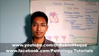 Infective Endocarditis Part 1 HD [upl. by Suivatnom70]