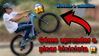 Cómo aprender a picar😱🏄🏻‍♂️🔥 Wheelie o caballito Aguirre2t [upl. by Andris]