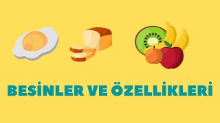 4 Sınıf Besinler ve Özellikleri Proteinler Vitaminler Karbonhidratlar [upl. by Jada]