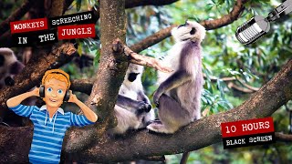 Monkeys screeching in the jungle 🐵 10 hours of monkey sounds [upl. by Rosenblum]