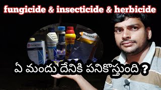 fungicide amp insecticide amp Herbicide ఈ మూడింటి మధ్యన డిఫరెంట్ ఏమిటి [upl. by Davidoff]