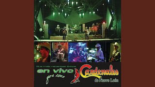 Enseñate A Perder En Vivo  Mexico  2005 [upl. by Wolcott973]