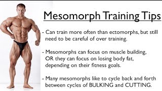 Ectomorph Endomorph or Mesomorph  Training for YOUR Body Type [upl. by Oiliduab]