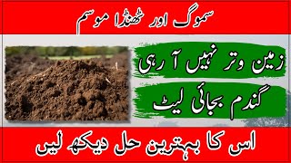 High moisture issue in wheat sowing area Wheat soil water issueوتر نہ آنے کی صورت میں گندم کی کاشت [upl. by Scheer]